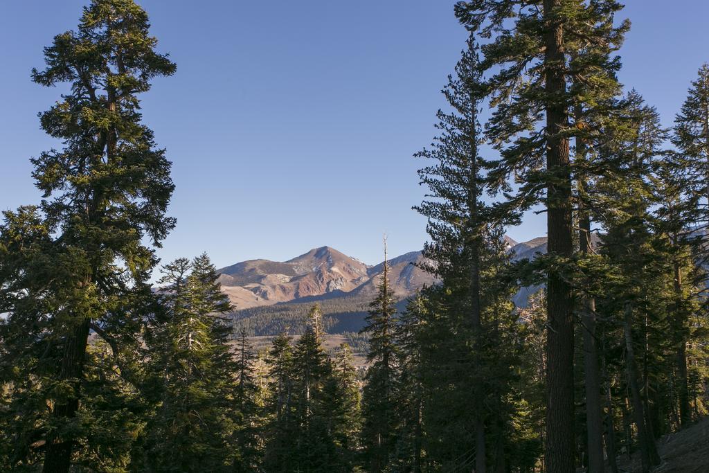 Timber Ridge By 101 Great Escapes